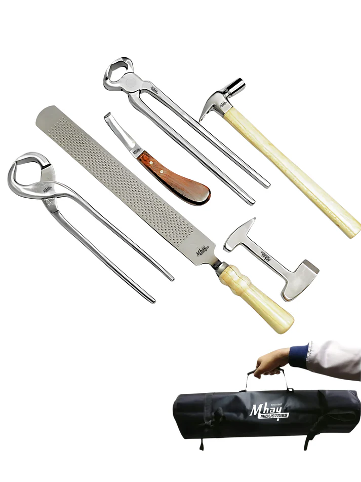 Equine Dental Kits