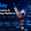 11xplay Pro Cricket Market Navigation Guide | Easy Dashboard & Market Access 11xplay