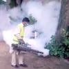 Termite Control Lahore Complete Guide to Protection, Treatment, and Prevention Termite Control in Lahore.