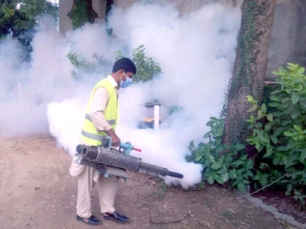 Termite Control Services Complete Protection for Homes and Businesses