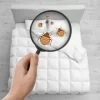 Bedbugs Spray Service | Complete Solution for Safe and Effective Bed Bug Removal Bedbugs spray service.
