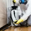 termite control service lahore.